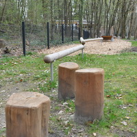 200 DSC 0331
